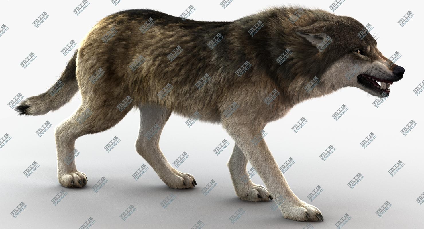 images/goods_img/20210113/Wolf 3 RIG FUR model/1.jpg